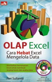 Olap excel: cara hebat excel mengelola data
